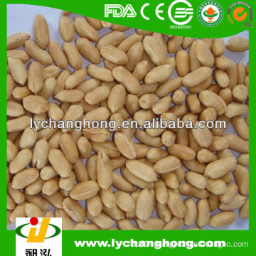 Fried Groundnuts Kernels